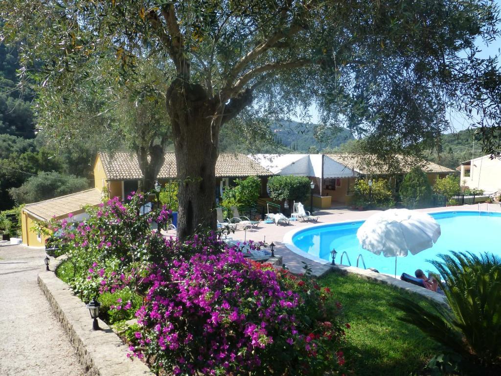 Aphrodite Studios & Pool Paleokastritsa Exterior foto